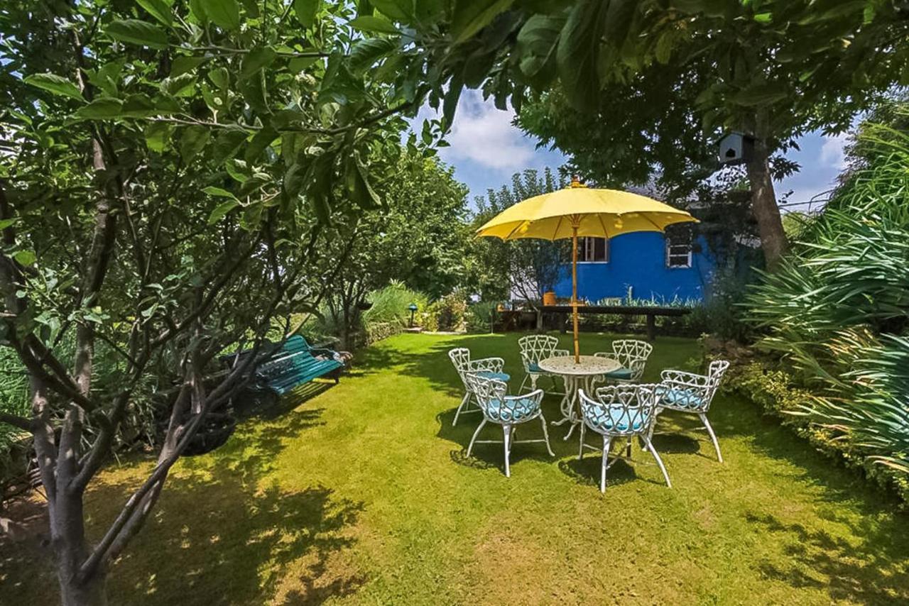 Stayvista At Violet Hill With Bonfire, Gazebo & Hill View Shimla Buitenkant foto