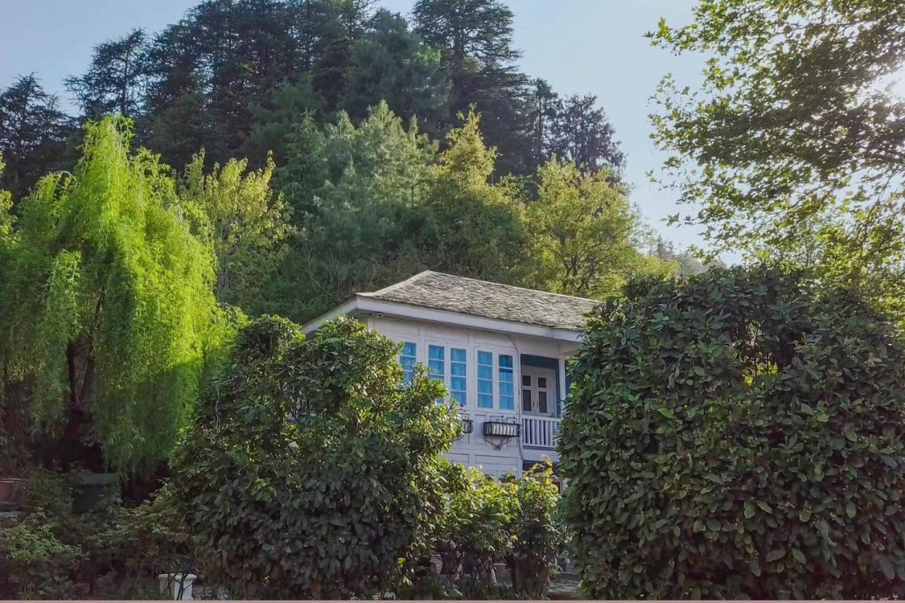 Stayvista At Violet Hill With Bonfire, Gazebo & Hill View Shimla Buitenkant foto